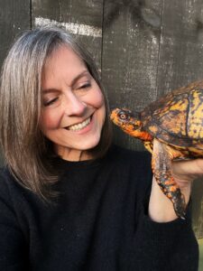 pam.turtlesback